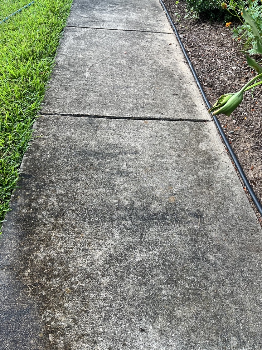 Sidewalk before cleaning